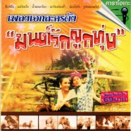 เพลงเอกละครดัง ชุด มนต์รักลูกทุ่ง VCD1060-web